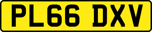 PL66DXV