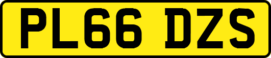 PL66DZS
