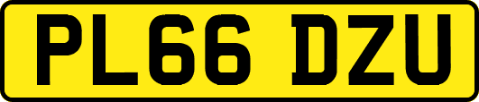 PL66DZU