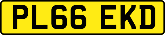 PL66EKD