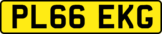 PL66EKG