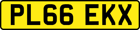 PL66EKX