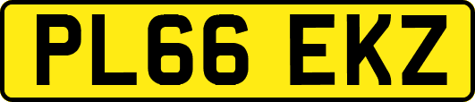 PL66EKZ