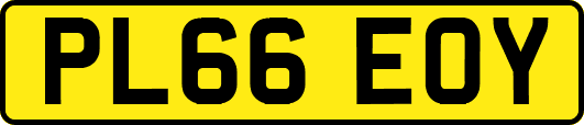 PL66EOY