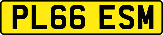 PL66ESM