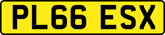 PL66ESX