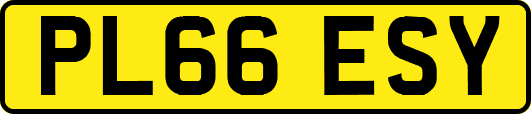 PL66ESY