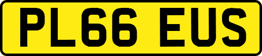 PL66EUS
