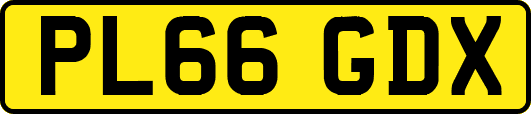 PL66GDX