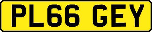 PL66GEY