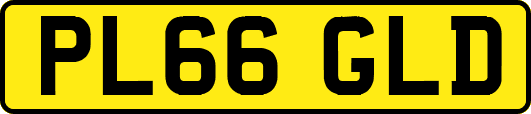PL66GLD