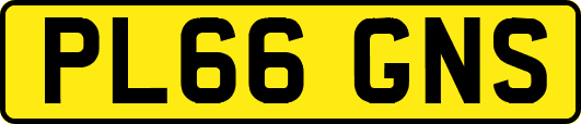 PL66GNS