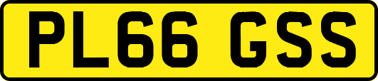 PL66GSS