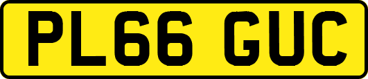 PL66GUC