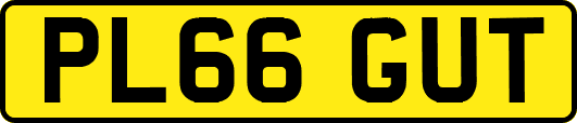 PL66GUT
