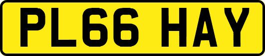 PL66HAY