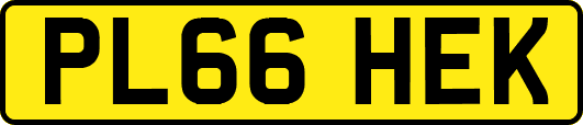 PL66HEK
