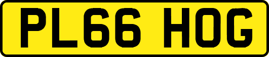 PL66HOG