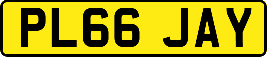 PL66JAY
