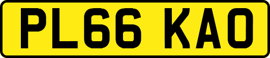 PL66KAO