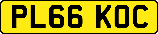 PL66KOC