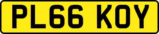 PL66KOY