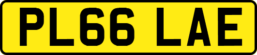 PL66LAE