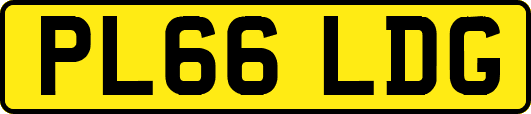 PL66LDG