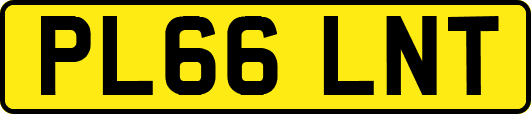 PL66LNT
