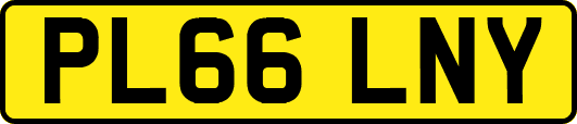 PL66LNY