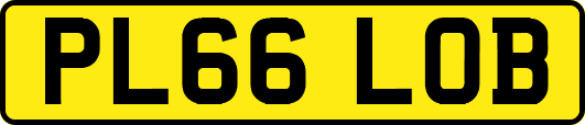 PL66LOB