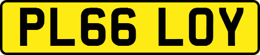 PL66LOY