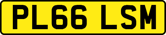 PL66LSM