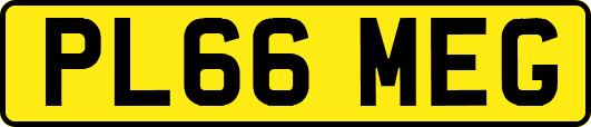 PL66MEG