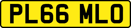 PL66MLO
