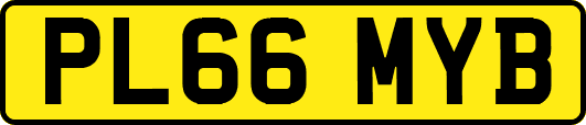 PL66MYB