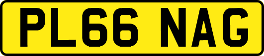 PL66NAG