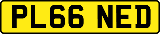 PL66NED