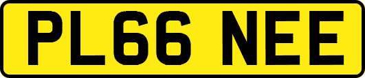 PL66NEE