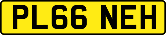 PL66NEH