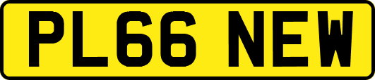 PL66NEW