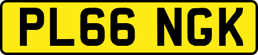 PL66NGK