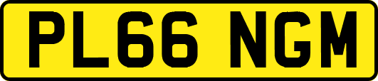 PL66NGM