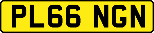 PL66NGN