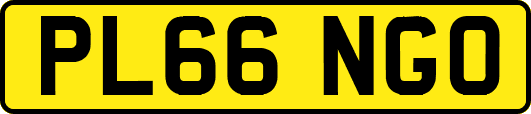 PL66NGO