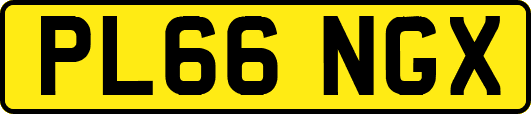 PL66NGX