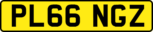 PL66NGZ