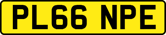 PL66NPE