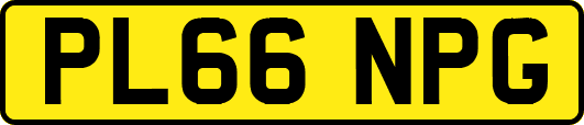 PL66NPG