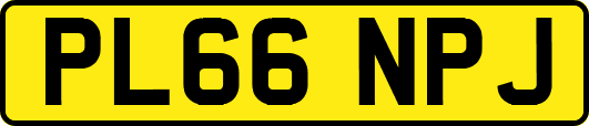 PL66NPJ